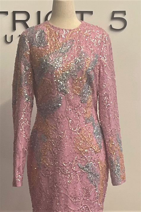 Long Sleeve Tulle Gown with  Cape