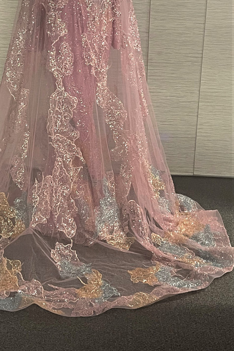 Long Sleeve Tulle Gown with  Cape