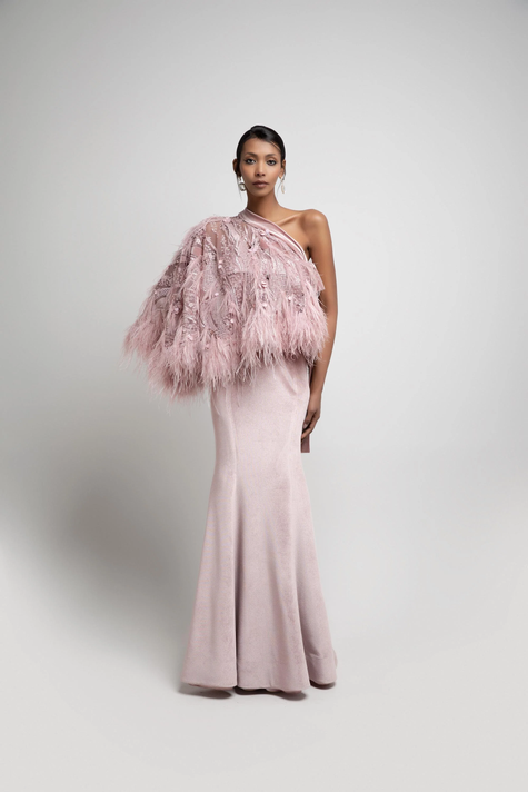 Feathered Half Cape Gown