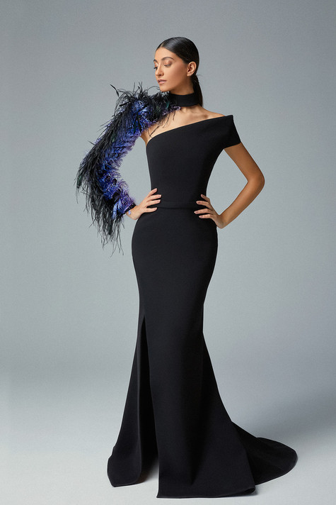 Ombre Feather-Sleeve Gown