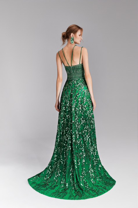 Sleeveless Embroidered Gown