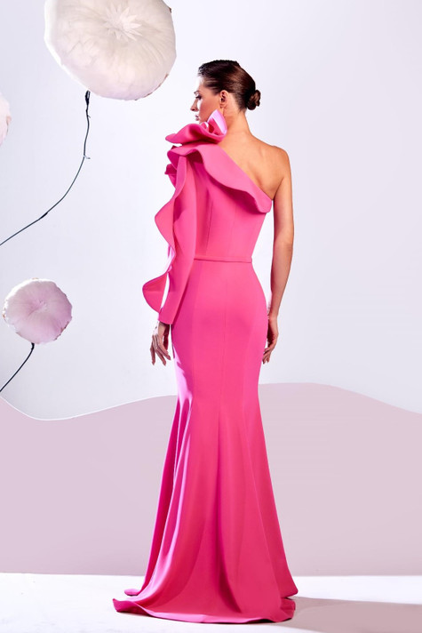 One  Sleeve Gown