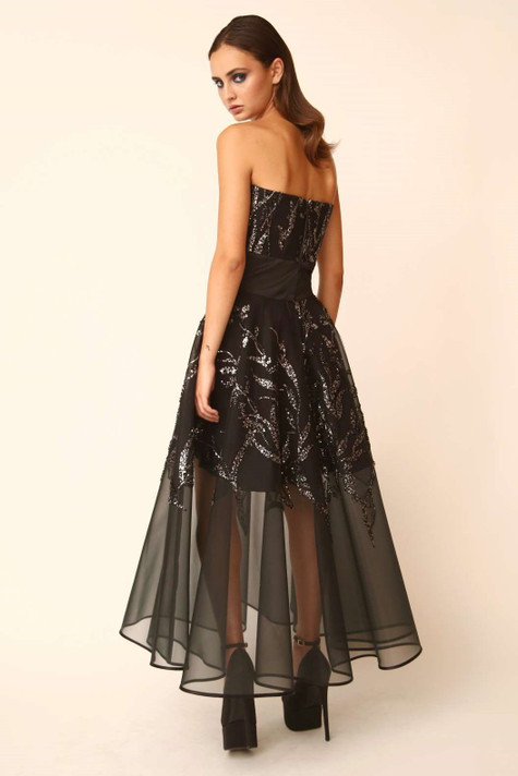 Strapless Illusion Dress