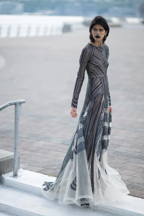 Metallic Lace and Tulle Gown