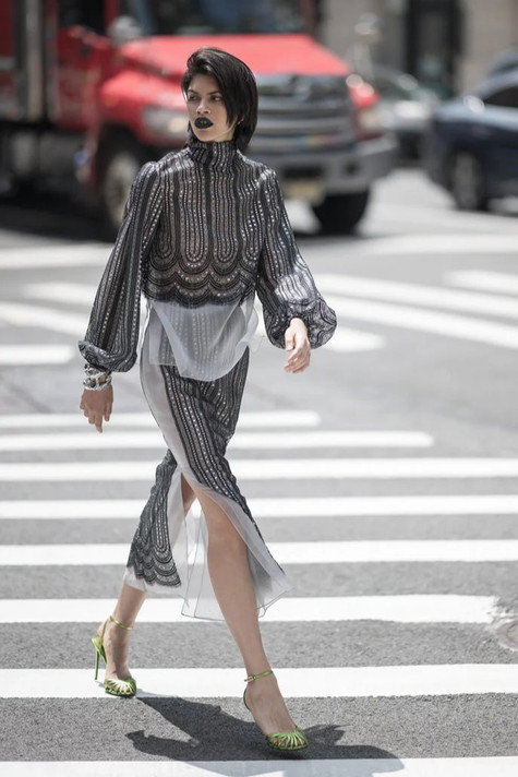 Lace and Organza Blouse with Skirt