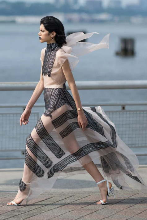 Lace and Organza Dress