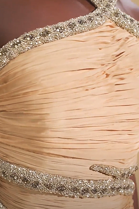 Snake-Like Embroidered Gown