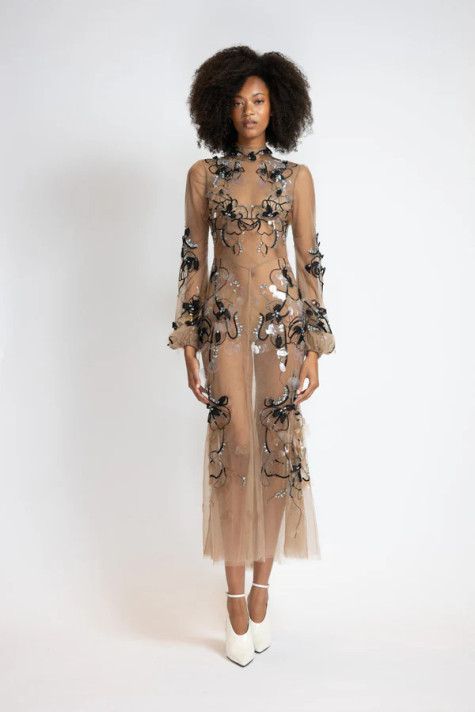 Glass Petal Embroidered Tulle Dress