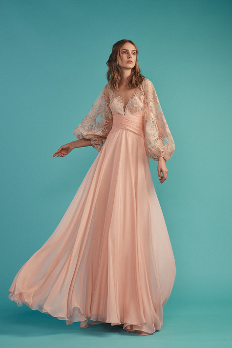 Long Embroidered Sleeve Gown