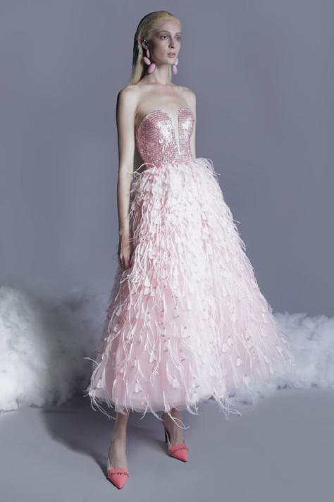 Beaded Feathered Tulle Dress