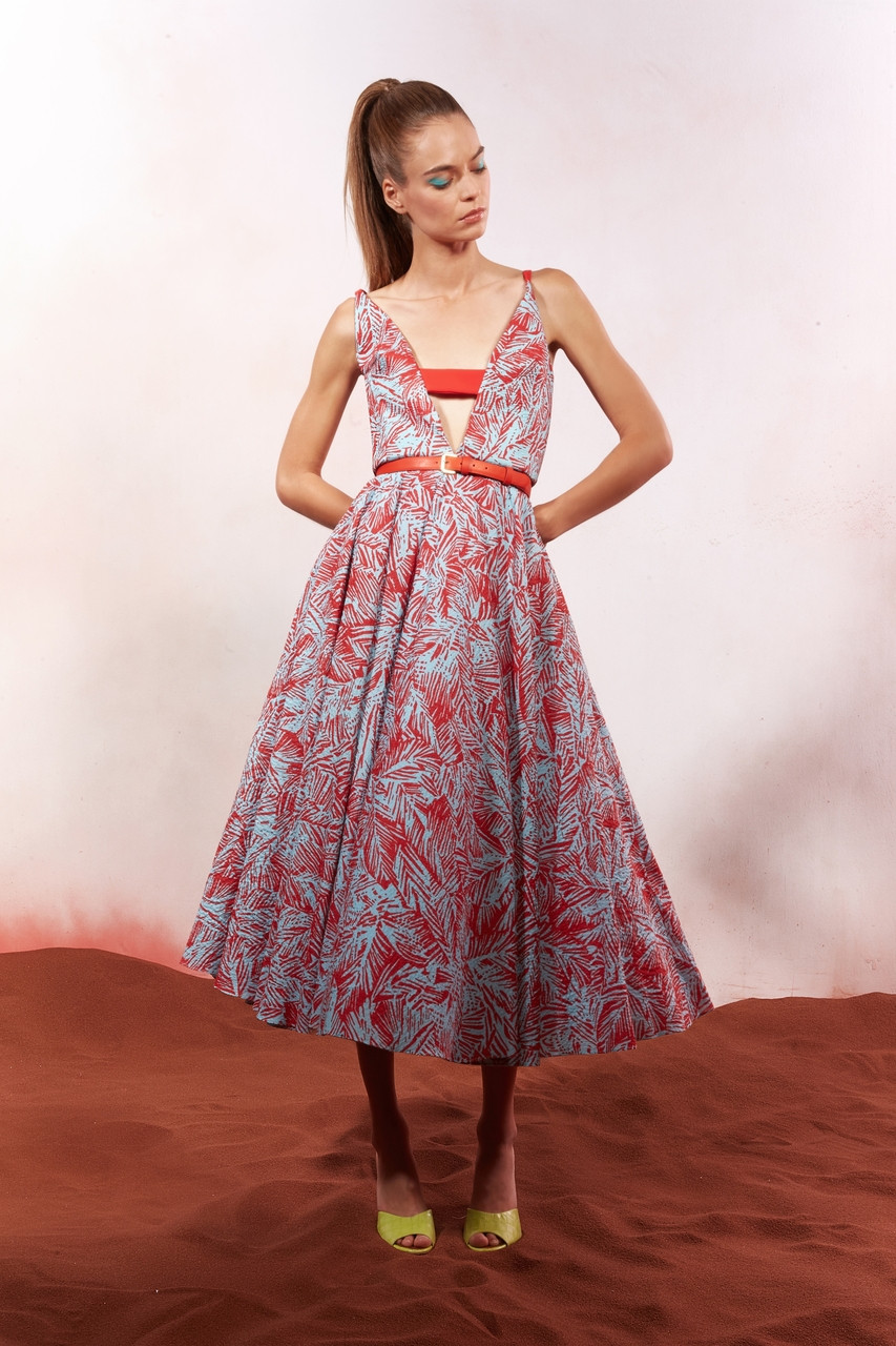 Azzi & Osta V Neckline Printed Midi Dress