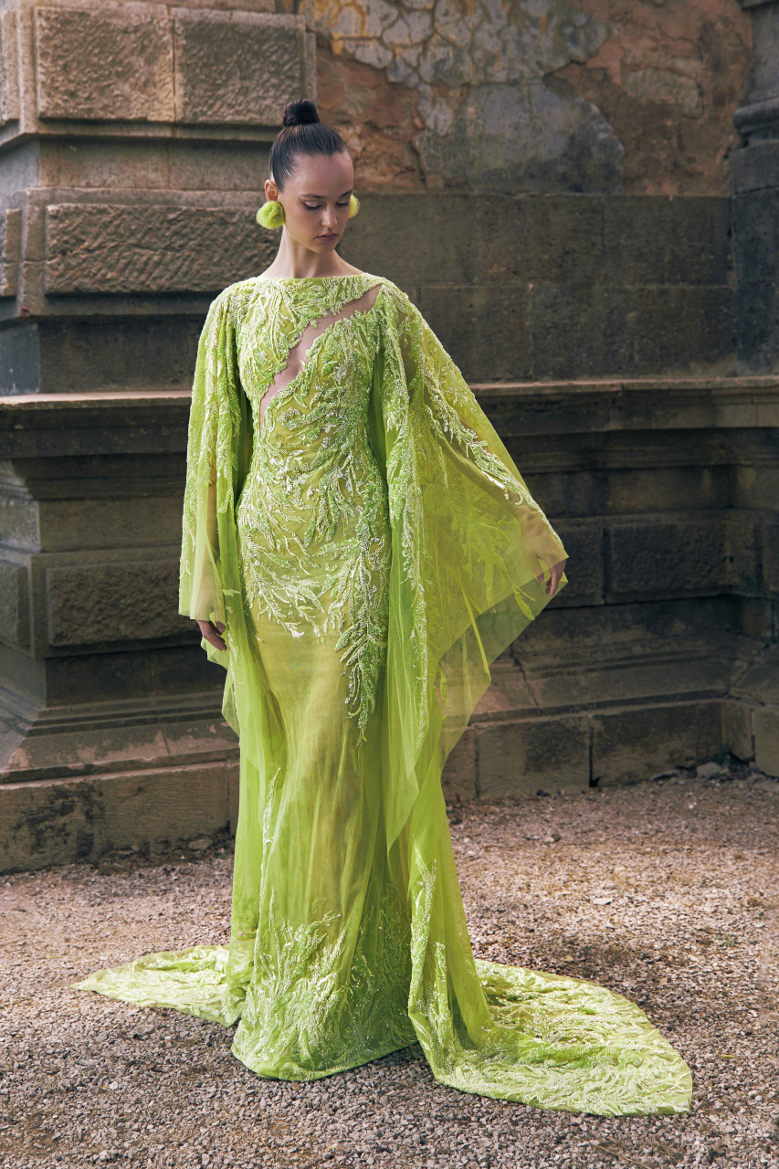 Tony Ward Embroidered Tulle Gown With Cape Sleeves