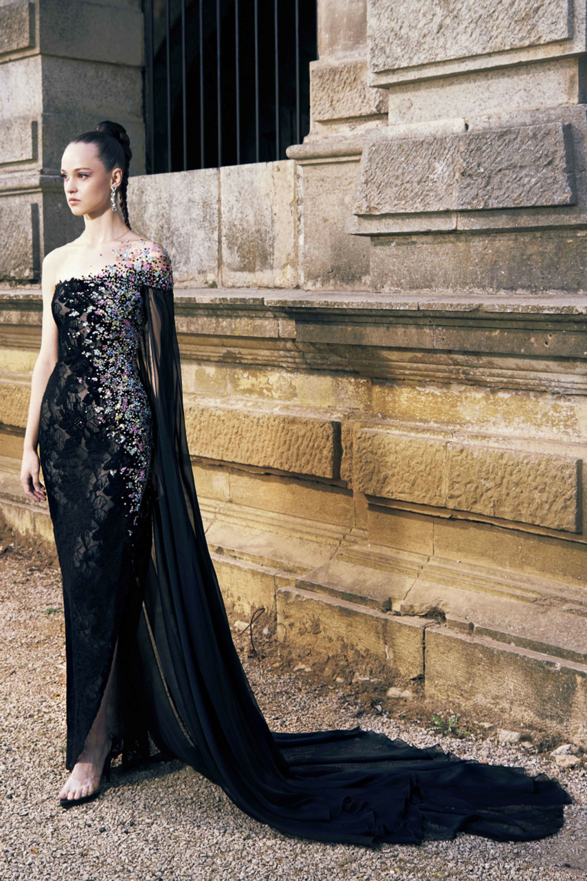 Tony Ward Embroidered Lace Illusion Gown