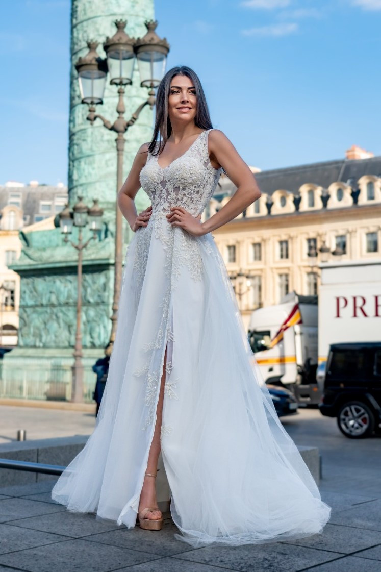 Edward Arsouni Tulle And Embroidered Gown