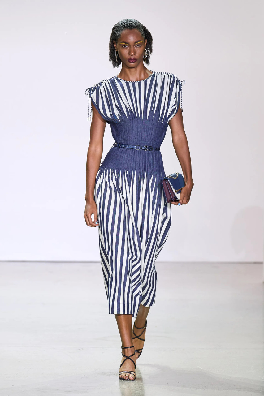 Bibhu Mohapatra Japanese Striped Day Dress