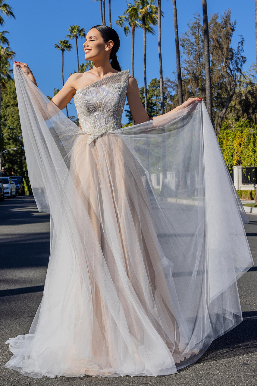 Cristallini Tulle Gown With Structured Bodice In Multi