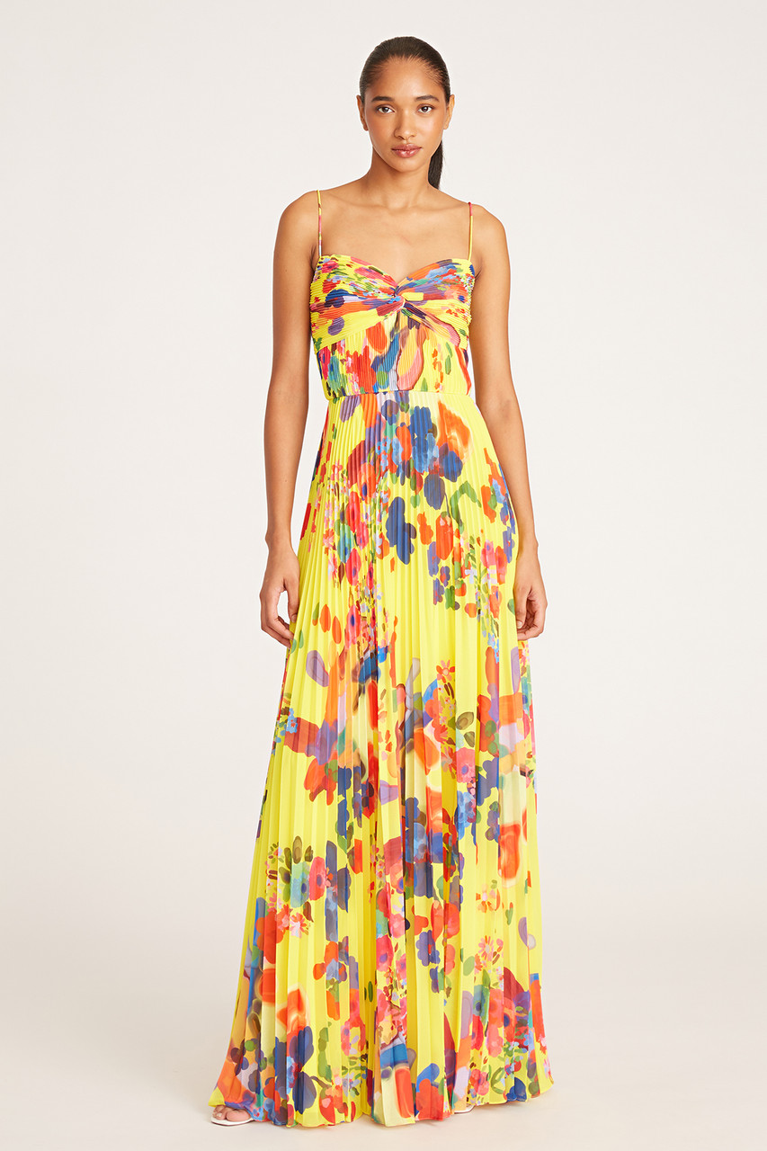 Shop Amur Dawson Pleated Gown In Multi