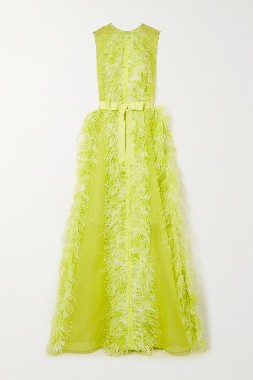Huishan Zhang Beau Feather And Grosgrain-trimmed Silk-organza Gown In Multi