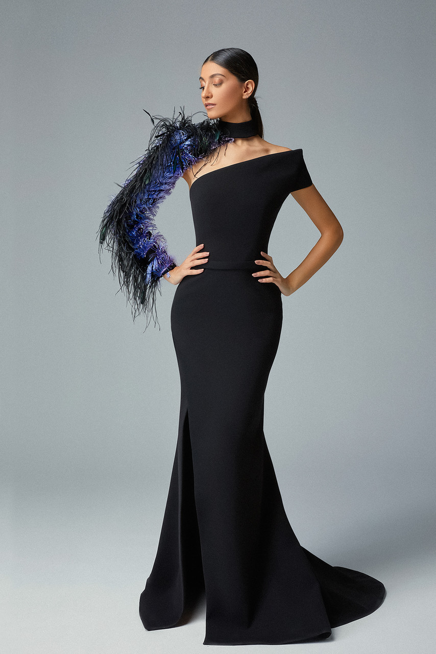 Gatti Nolli By Marwan Ombre Feather-sleeve Gown In Black