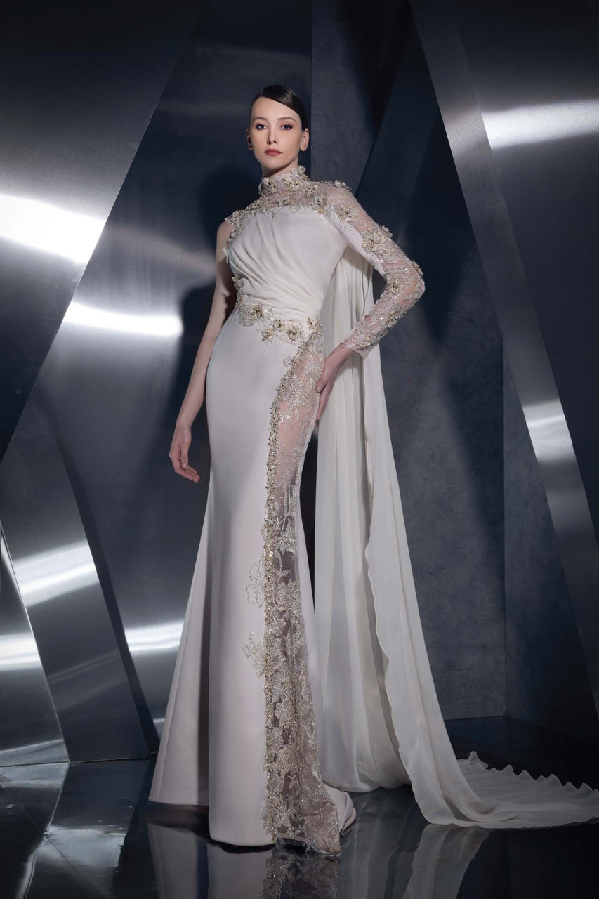 ZIAD NAKAD SLEEVED SHEER PANEL GOWN