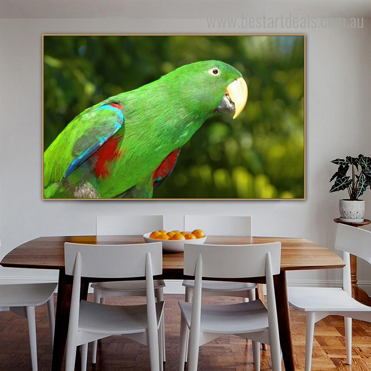 Eclectus Parrot Bird Modern Framed Painting Image Canvas Print for Room Wall Garniture