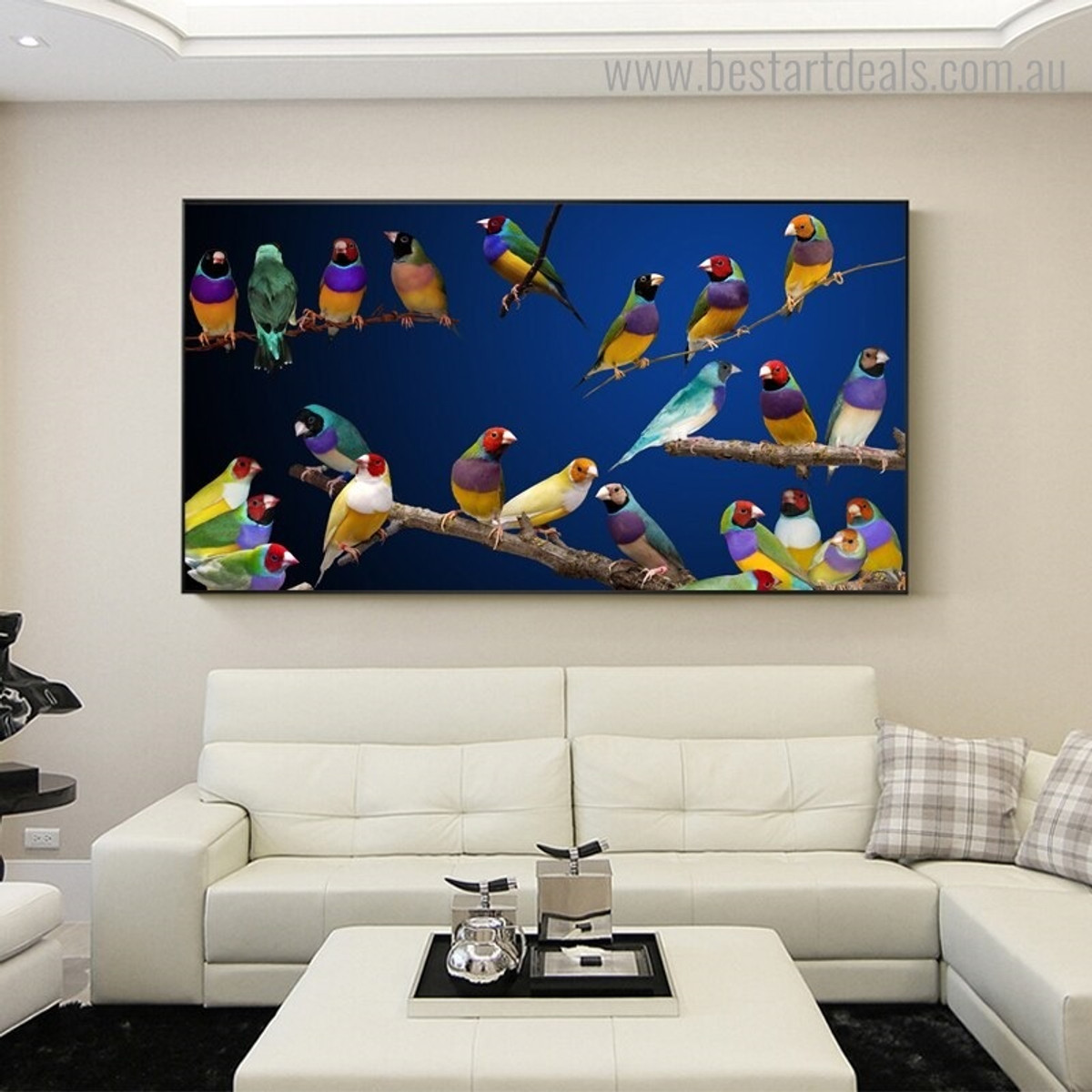 Colorful Gouldian Finch Bird Modern Framed Painting Photo Canvas Print for Room Wall Getup