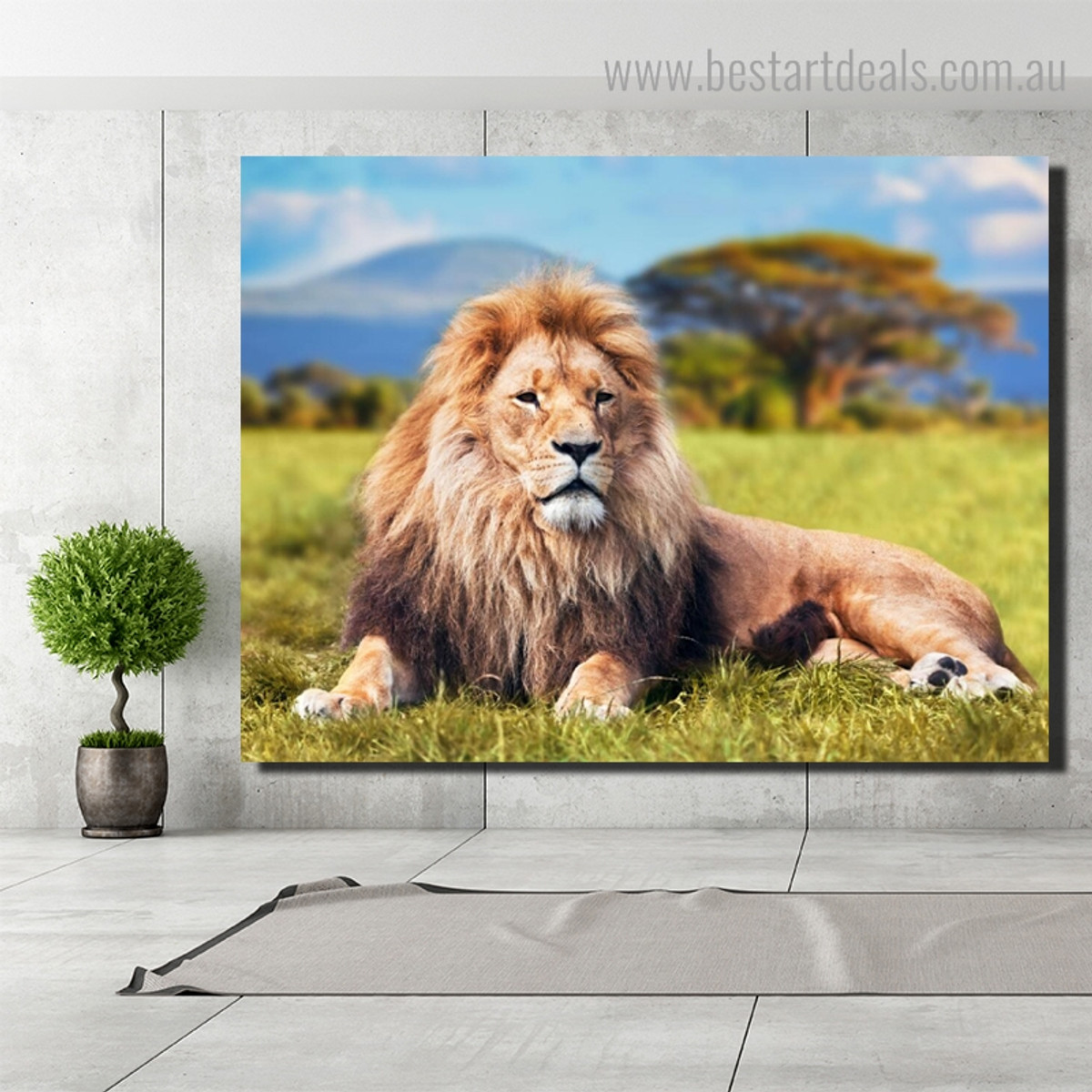African Lion Animal Modern Framed Smudge Image Canvas Print for Room Wall Assortment