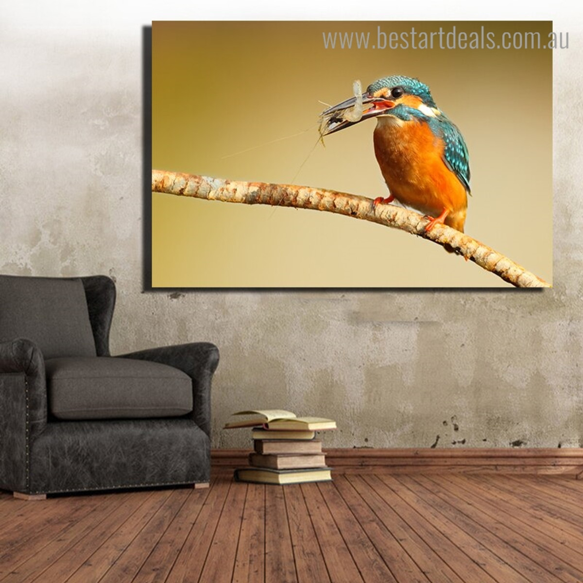 Multicoloured Kingfisher Bird Nature Modern Framed Painting Photo Canvas Print for Room Wall Disposition