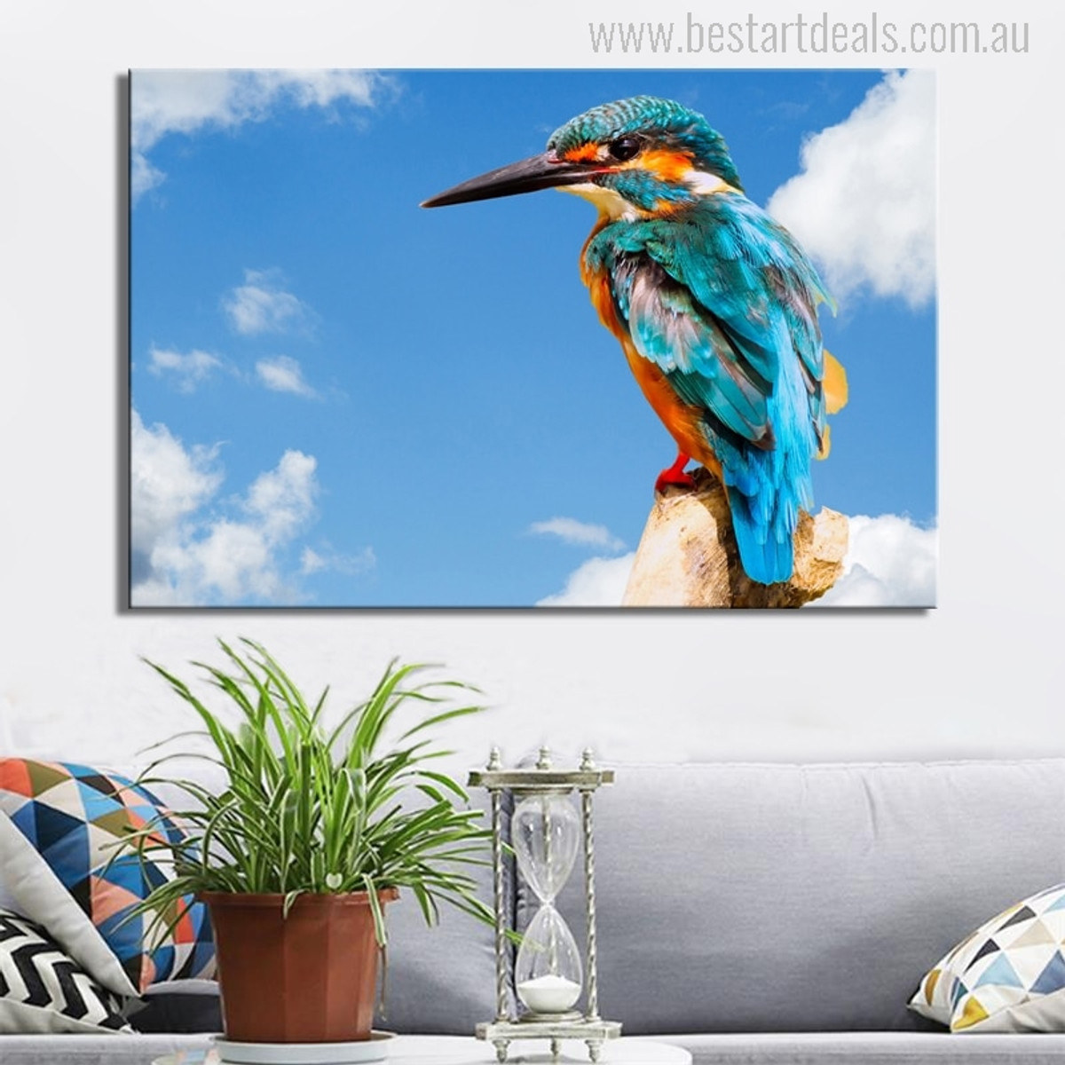 Common Kingfisher Bird Modern Photo Print