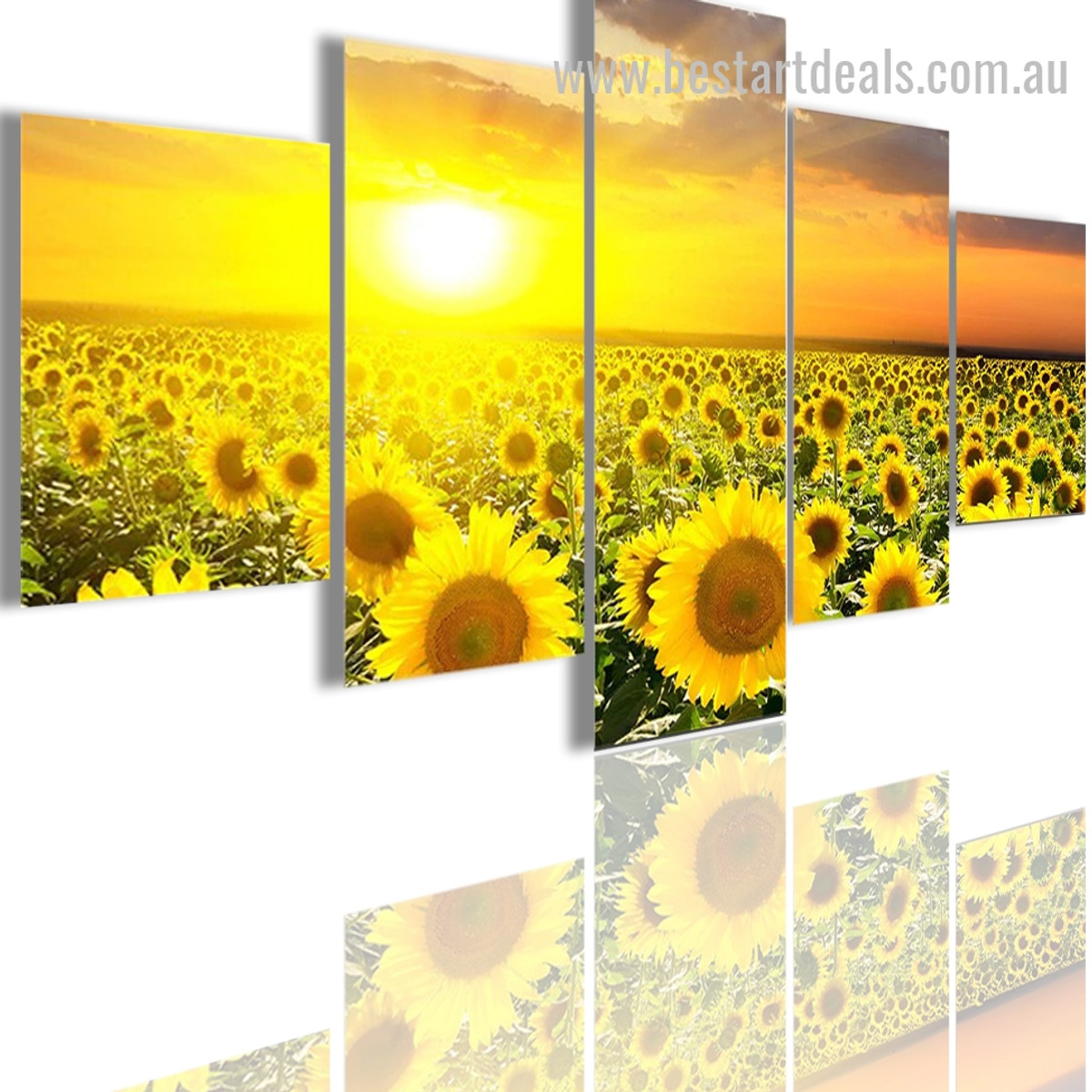 Sunflower Sunset Botanical Nature Modern Artwork Image Canvas Print