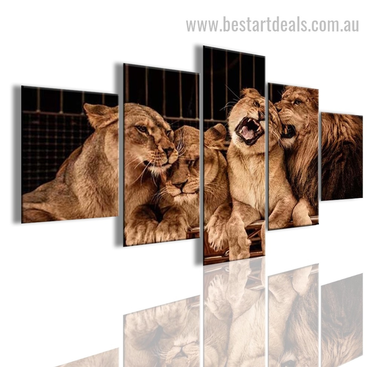 Lion Pride Animal Modern Artwork Picture Canvas Print