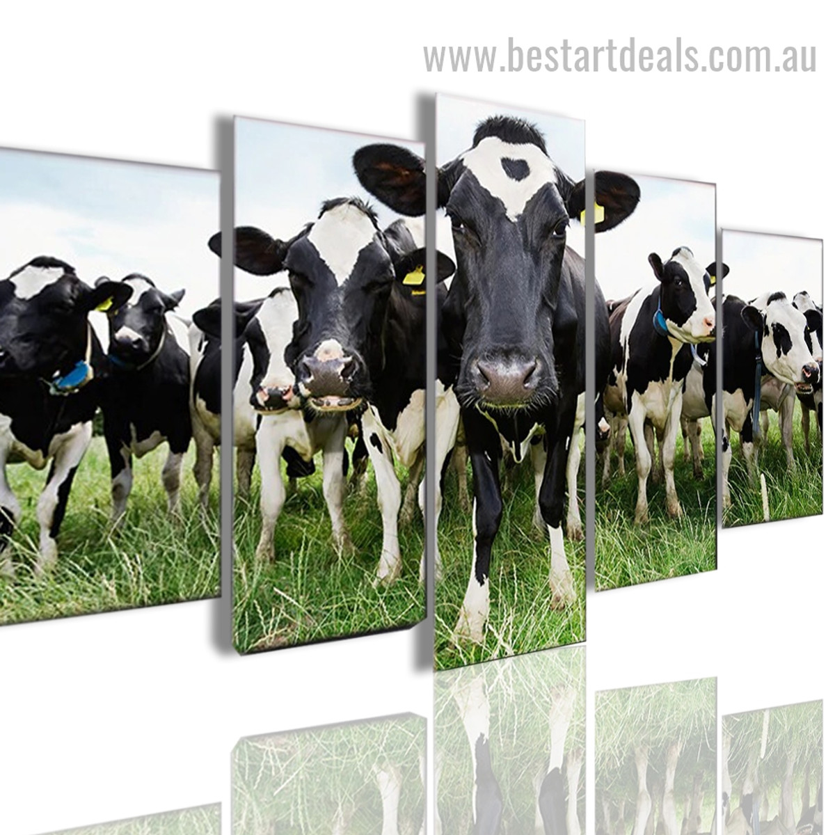 Cows Animal Landscape Framed Smudge Image Canvas Print