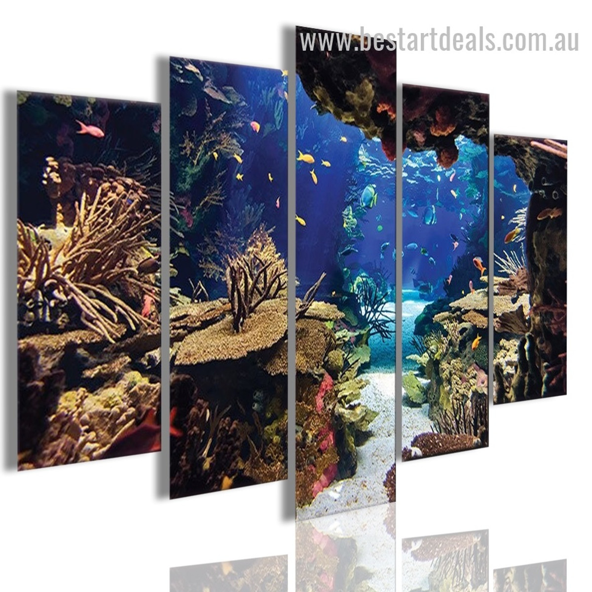 Underwater Coral Reef Animal Nature Landscape Modern Framed Artwork Image Canvas Print