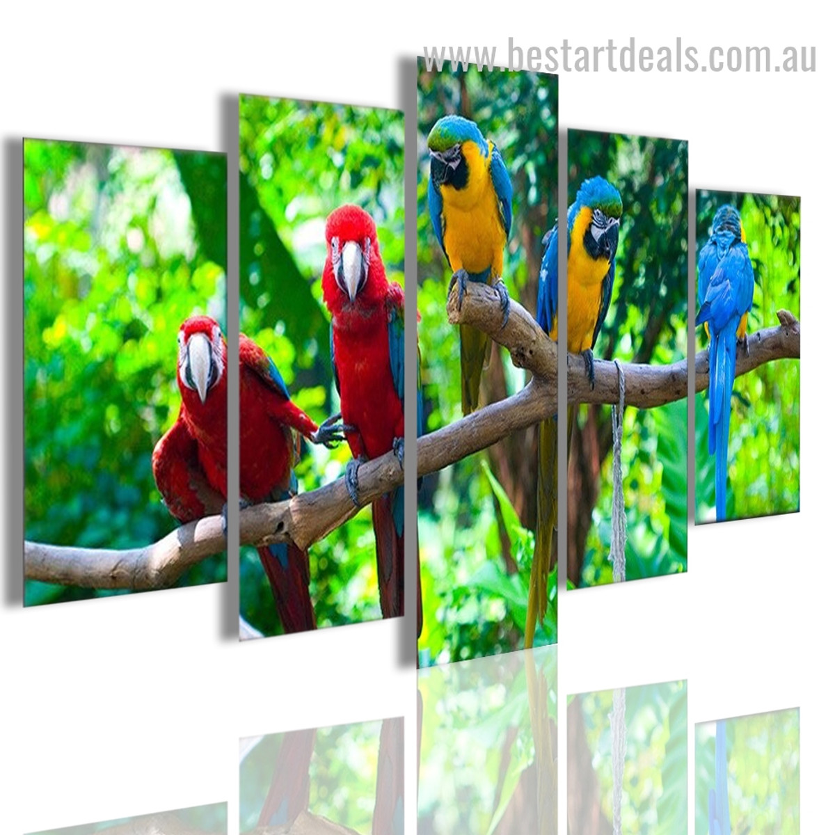 Macaws Animal Nature Modern Framed Smudge Photo Canvas Print