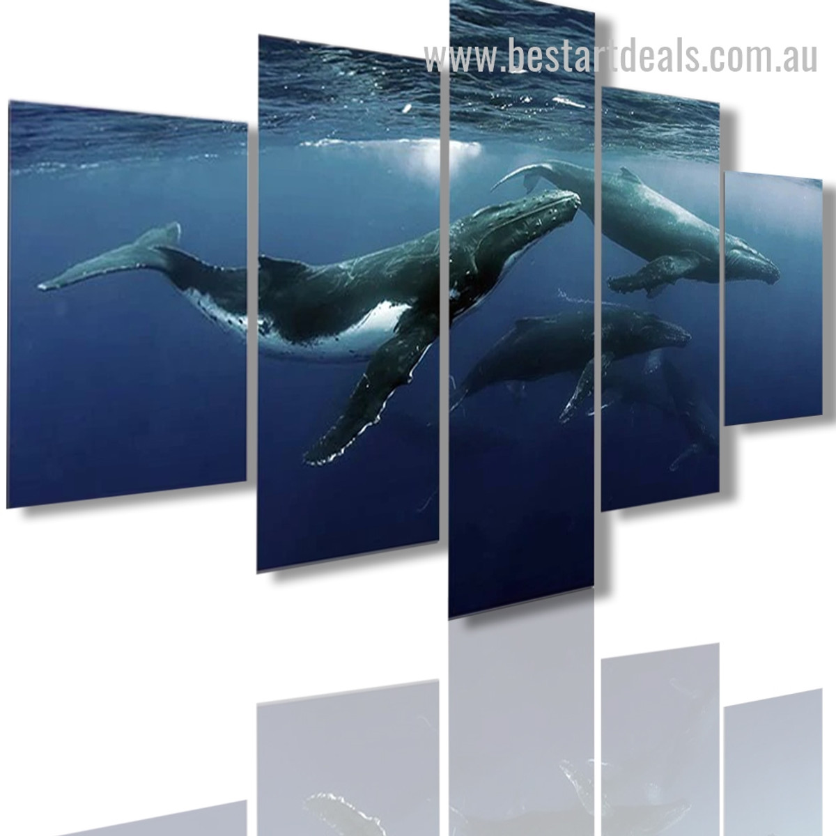 Humpback Whales Animal Seascape Modern Framed Painting Image Canvas Print