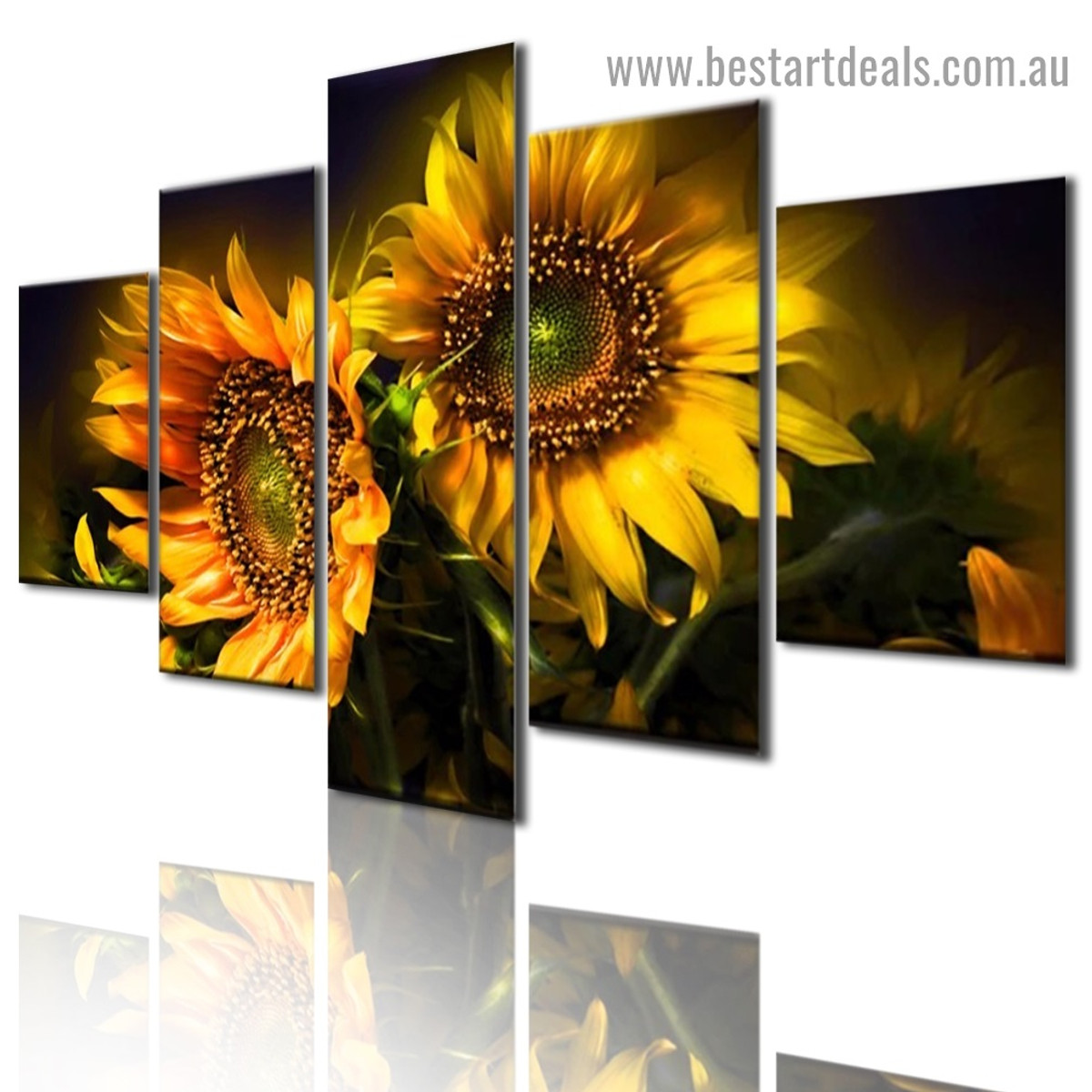 Two Sunflower Botanical Nature Modern Artwork Photo Canvas Print for Room Wall Adornment