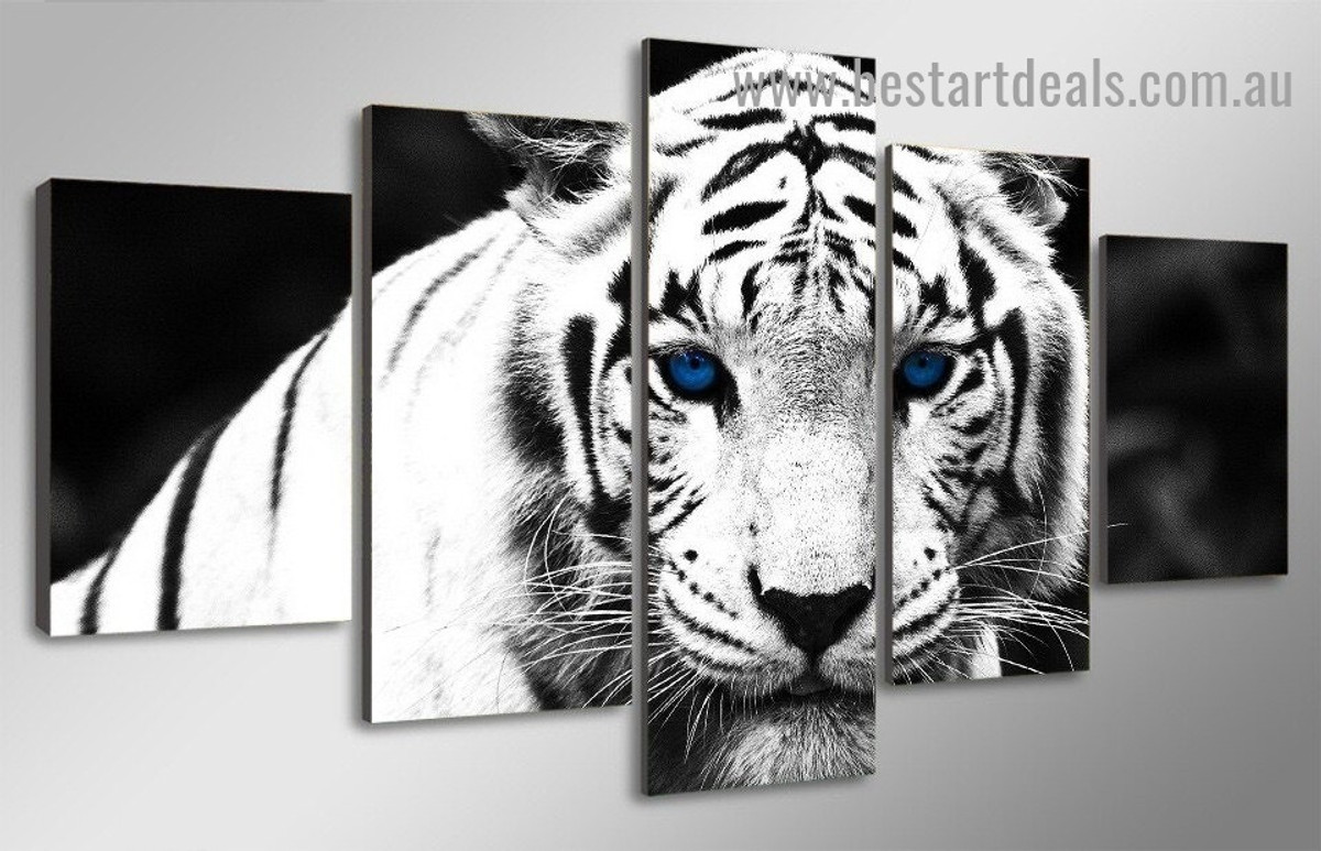 Faded White Tiger Animal Modern Artwork Picture Canvas Print for Room Wall Adornment