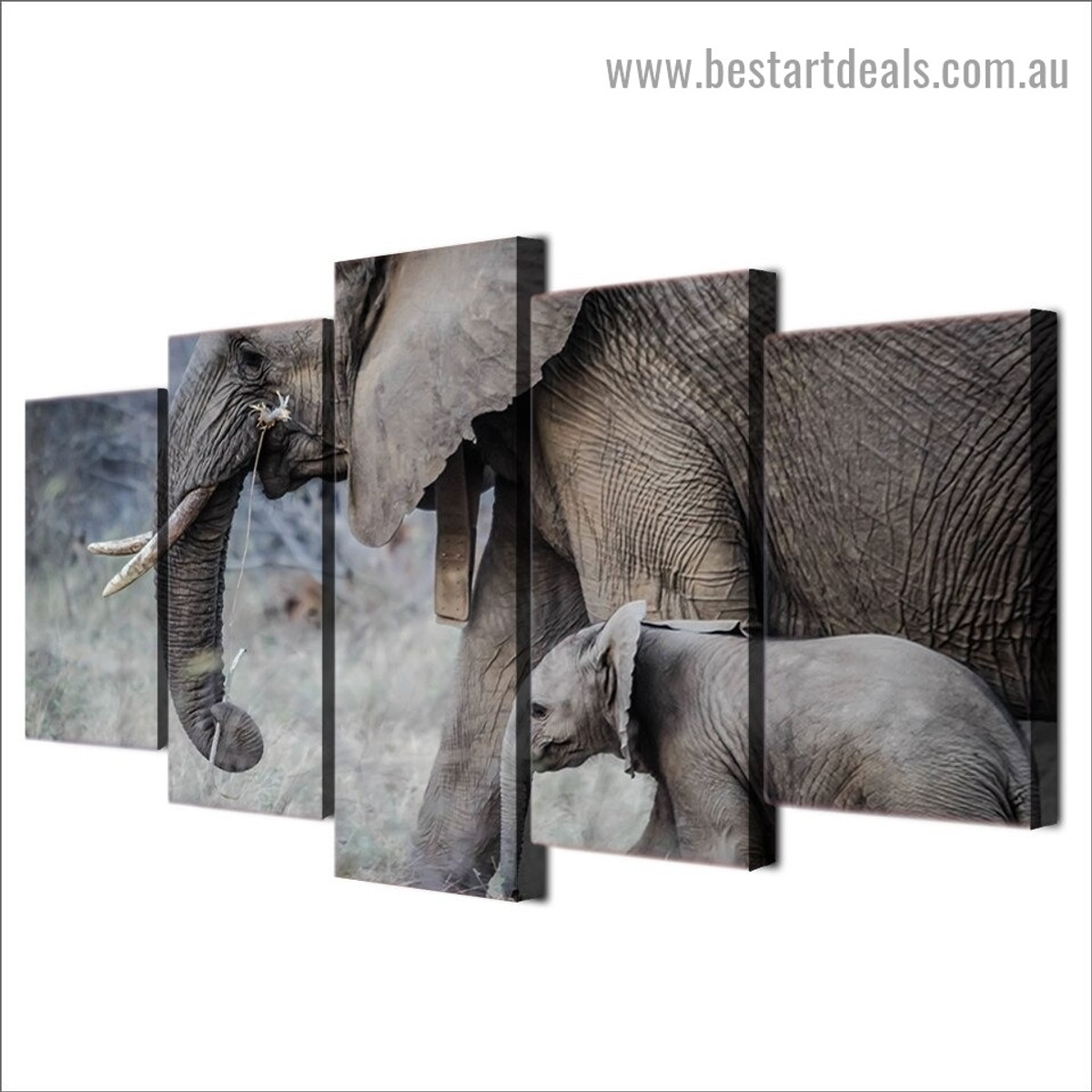 Wandering Elephant Walk Animal Modern Artwork Photo Canvas Print for Room Wall Garniture