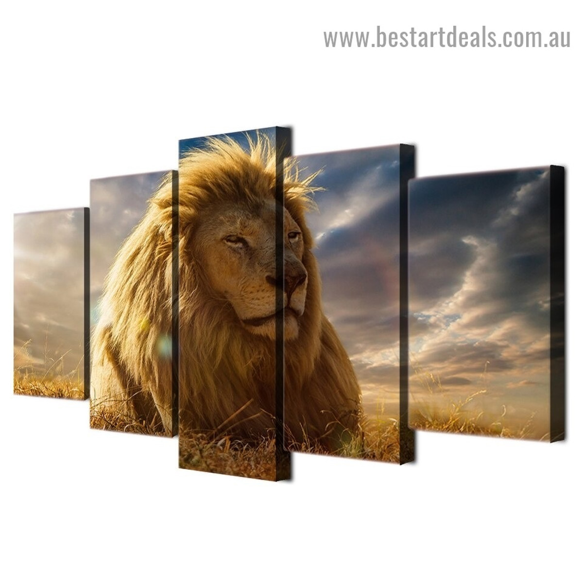 Lion King Animal Landscape Modern Artwork Photo Canvas Print for Room Wall Adornment