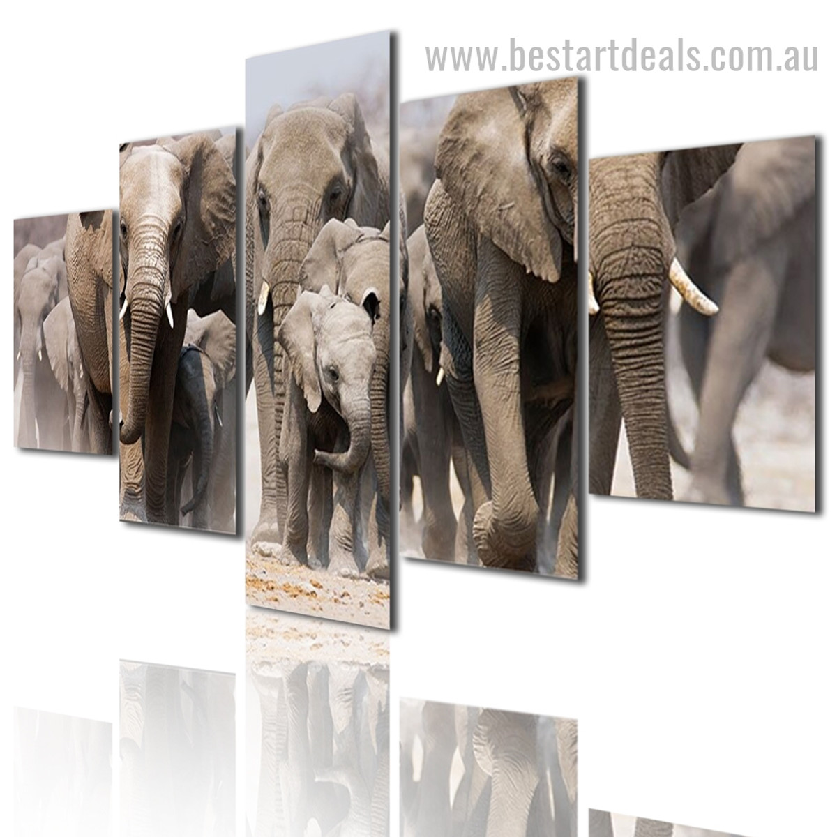 Elephant Herd Animal Modern Framed Effigy Image Canvas Print