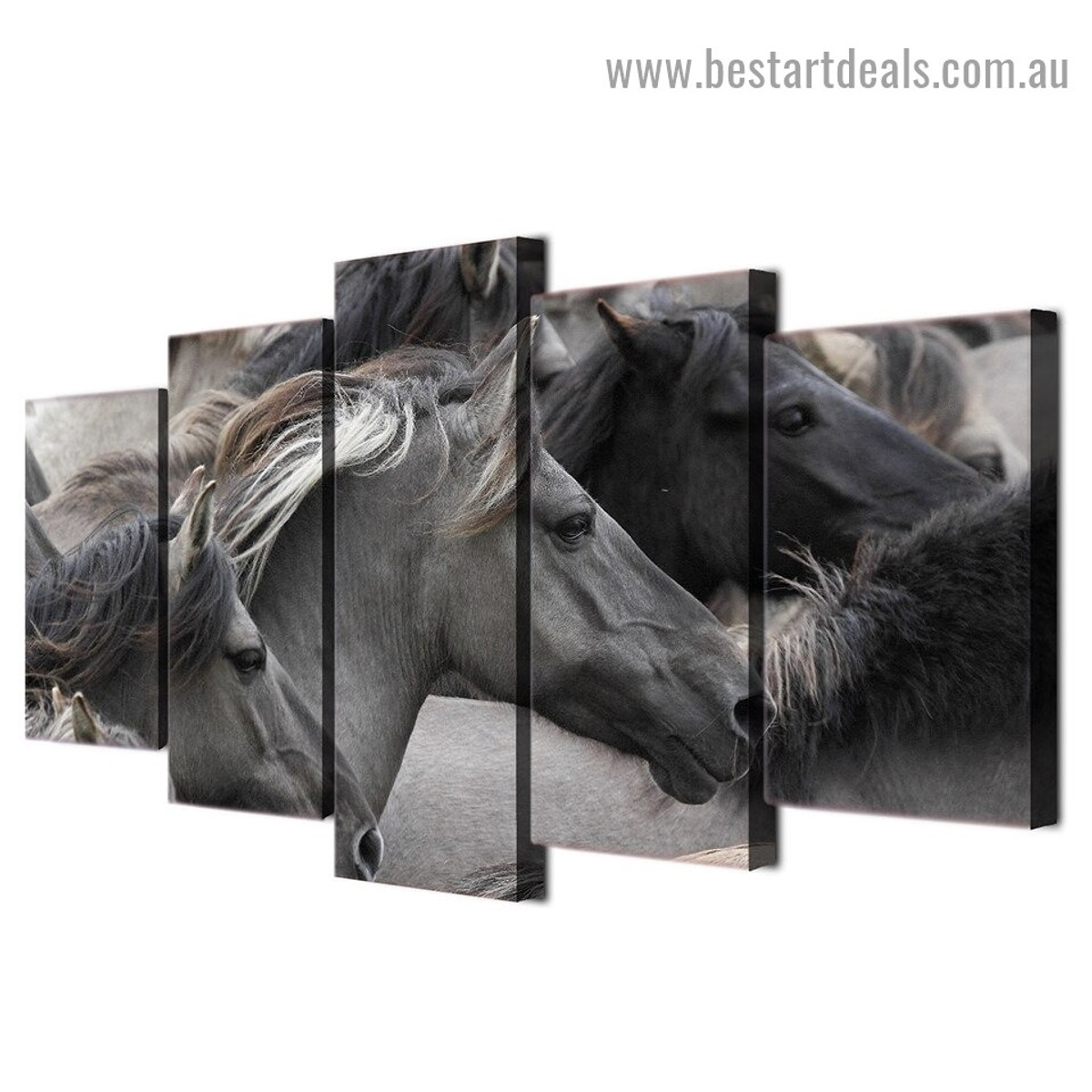 Galloping Horses Animal Modern Artwork Photo Canvas Print for Room Wall Adornment