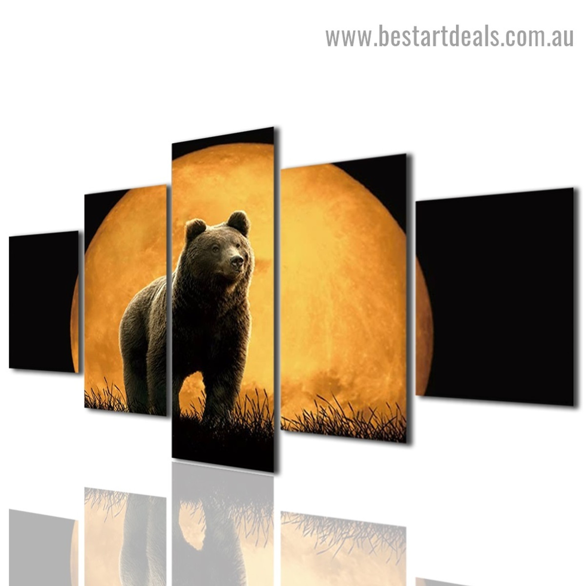 Grizzly Bear Animal Landscape Modern Artwork Photo Canvas Print for Room Wall Adornment