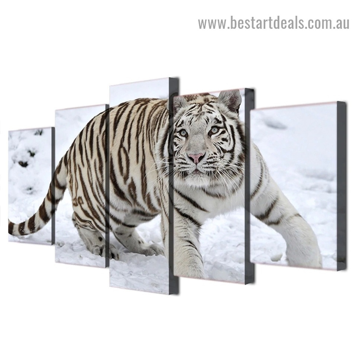 White Tiger Animal Landscape Modern Artwork Photo Canvas Print for Room Wall Adornment