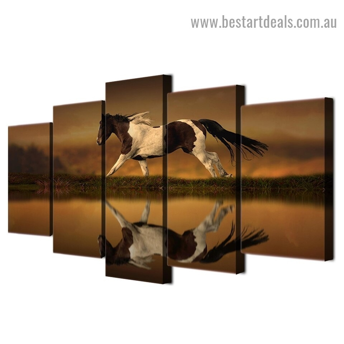 Horse Reflection Animal Landscape Modern Artwork Image Canvas Print for Room Wall Adornment