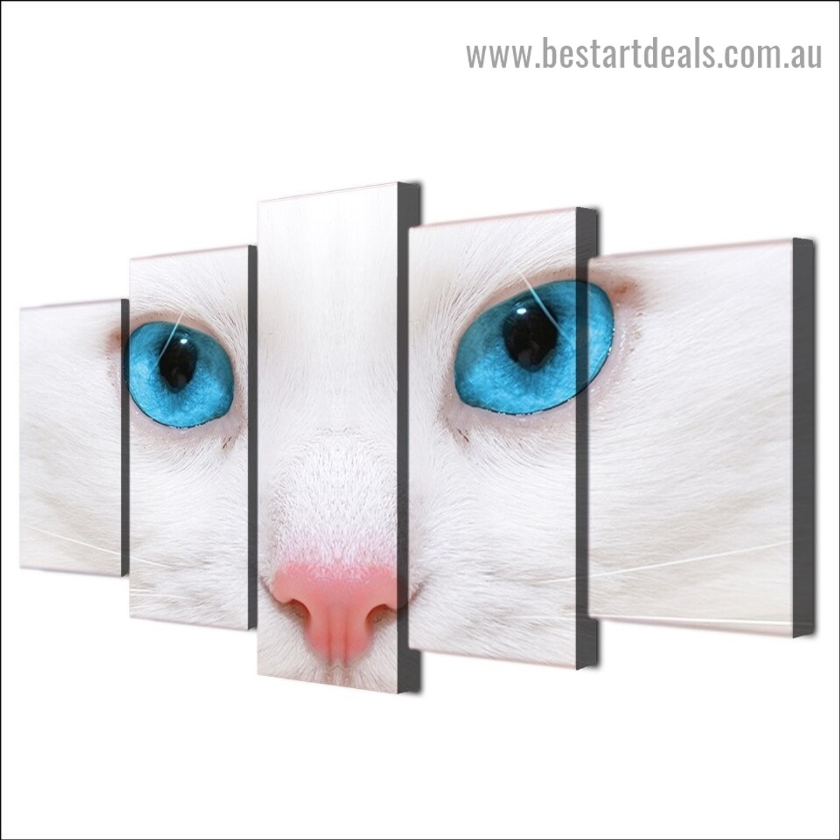 White Cat Animal Modern Artwork Picture Canvas Print for Room Wall Garniture