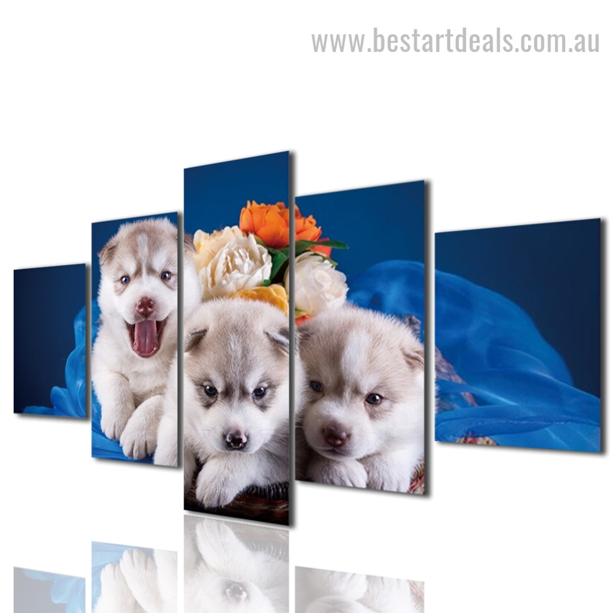 Cute Puppies Animal Modern Framed Artwork Pic Canvas Print
