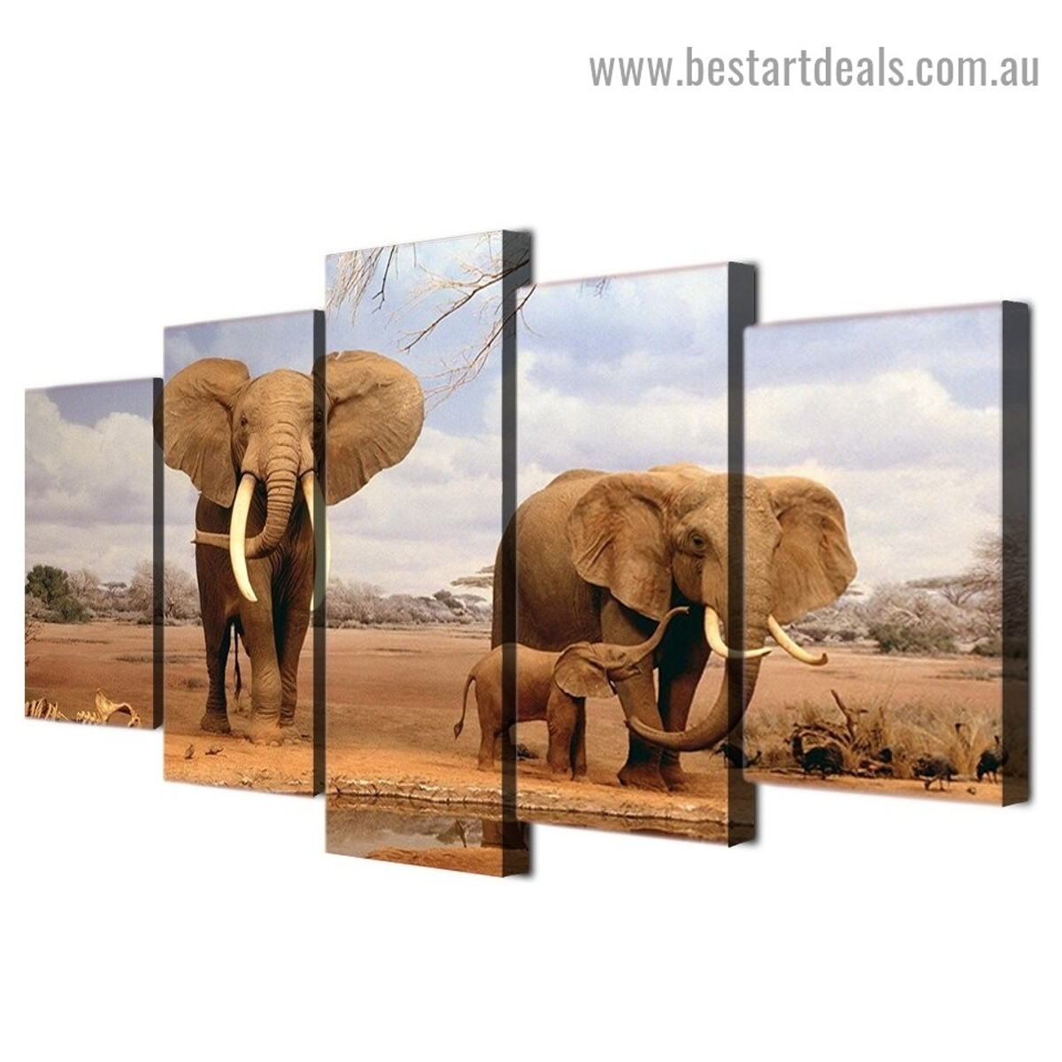 Elephant Family Animal Landscape Modern Artwork Photo Canvas Print for Room Wall Adornment
