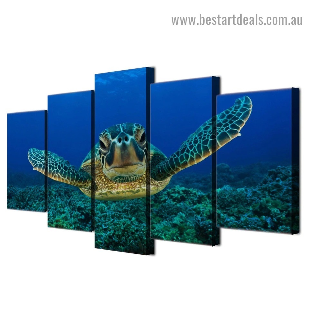 Deep Sea Turtle Animal Seascape Modern Artwork Photo Canvas Print for Room Wall Ornament