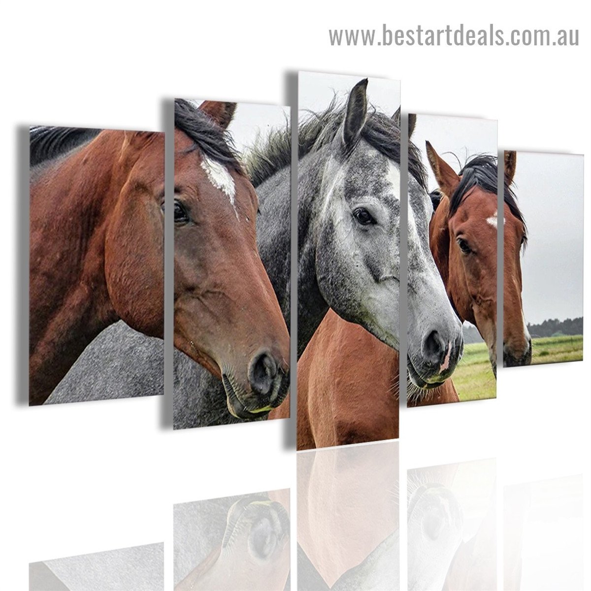 Horse Trio Animal Landscape Modern Artwork Image Canvas Print for Room Wall Decoration
