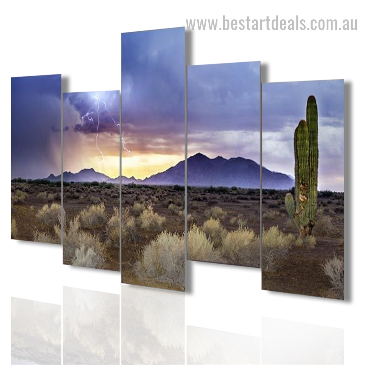 Arizona Monsoon Nature Landscape Modern Framed Painting Pic Canvas Print